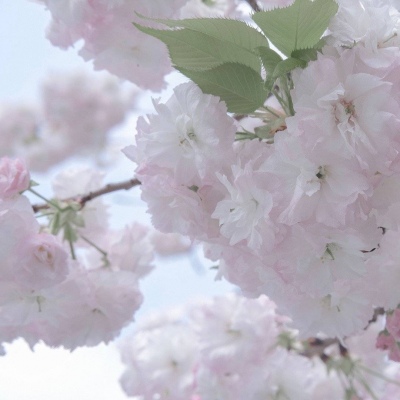 兽设校园场景设计兽圈社群